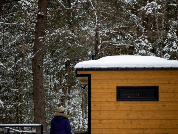 Willow Cabin