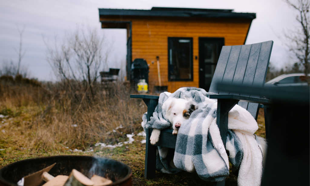 Buttercup Cabin