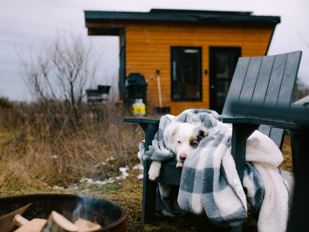 Buttercup Cabin