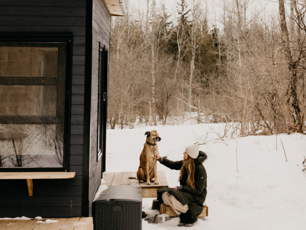 Bluebell Cabin