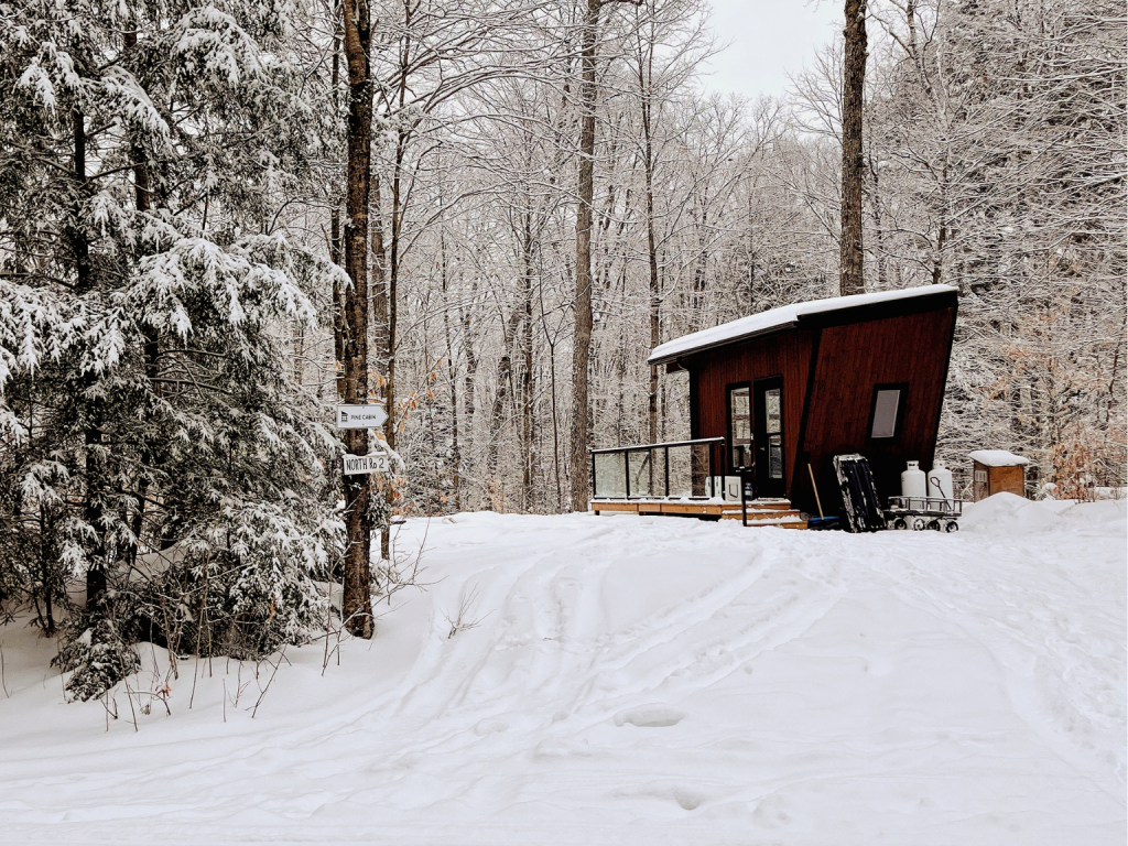 Pine Cabin