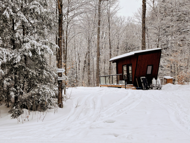 Pine Cabin